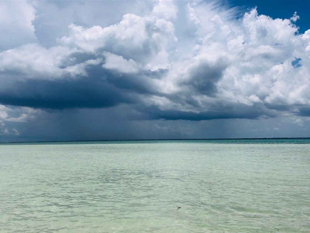 Tropical storm — Tropical Storm 2026: Hits Gulf Coast