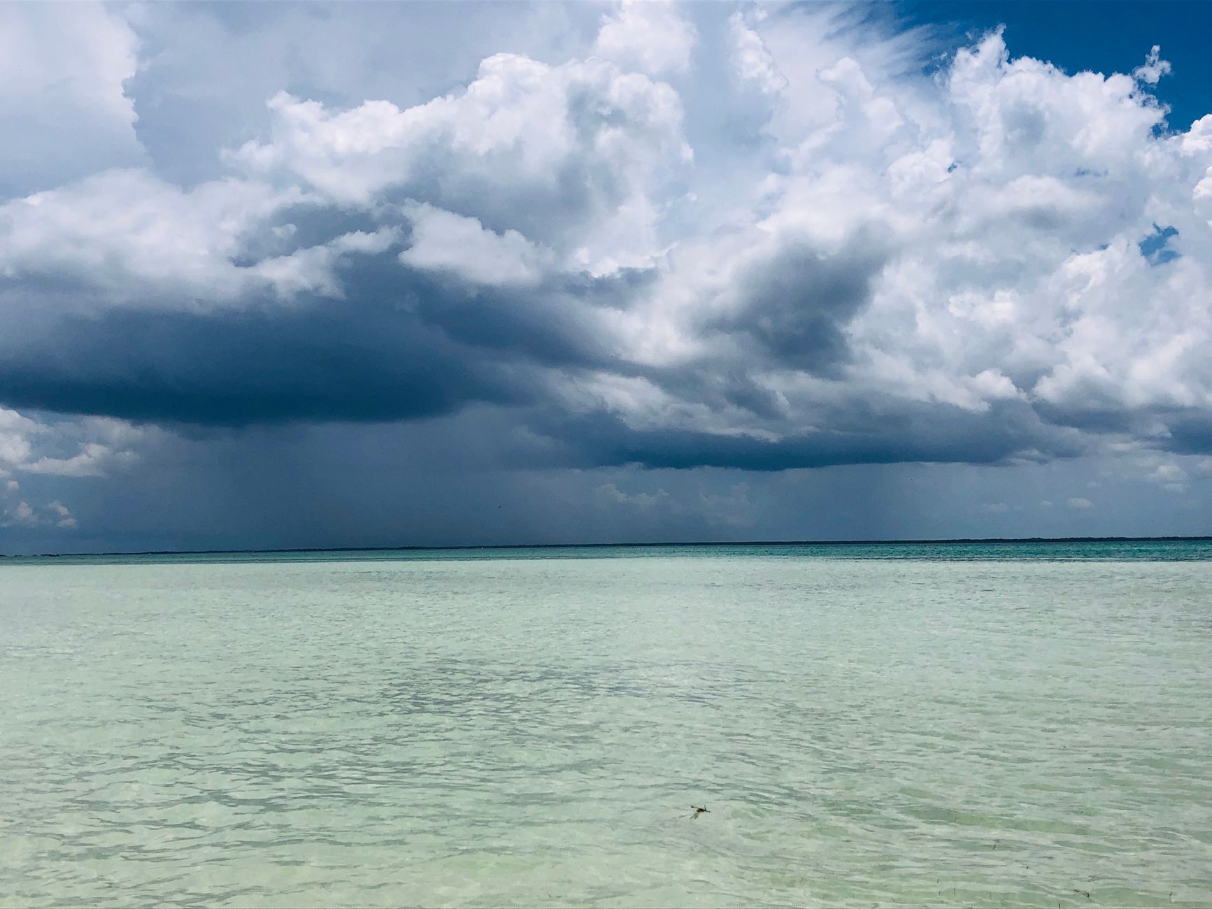 Tropical storm — Tropical Storm 2026: Hits Gulf Coast