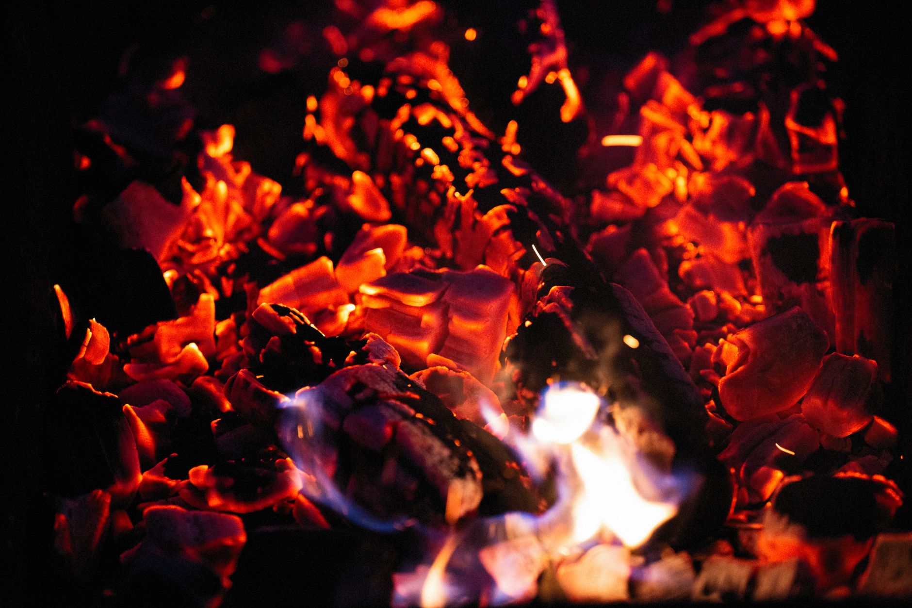 Coal investments — Coal Investments Boosts 2026