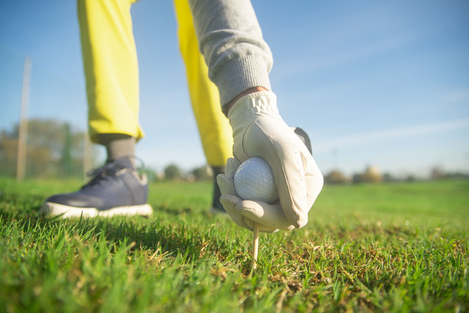 Golf behaviour — Golf Behaviour Warns: 2024