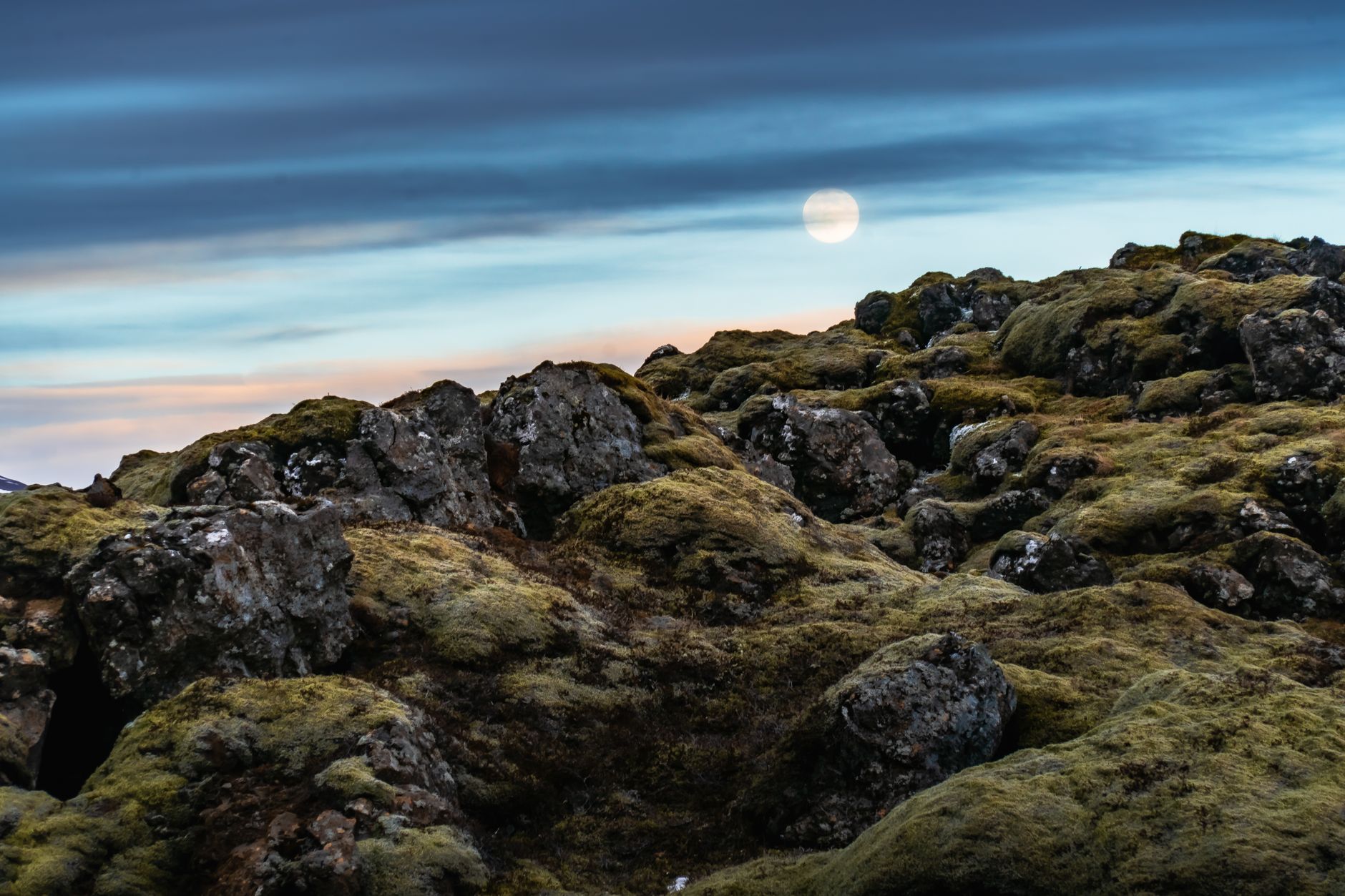 Moon rocks — Moon Rocks 2026: Reveals