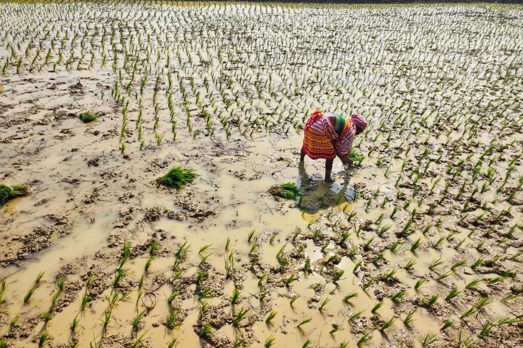 India monsoon — India Monsoon Hits: 10 Years of Drought