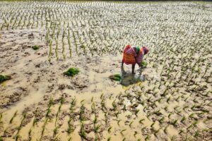 India monsoon — India Monsoon Hits: 10 Years of Drought