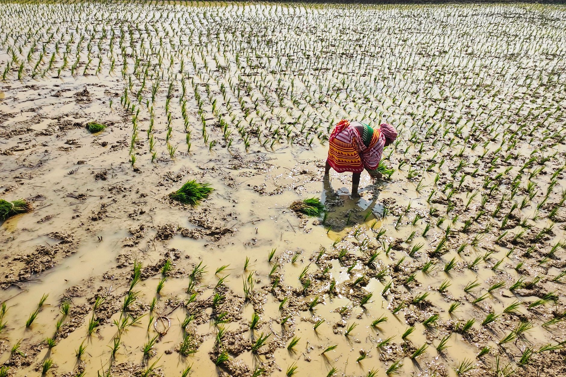 India monsoon — India Monsoon Hits: 10 Years of Drought