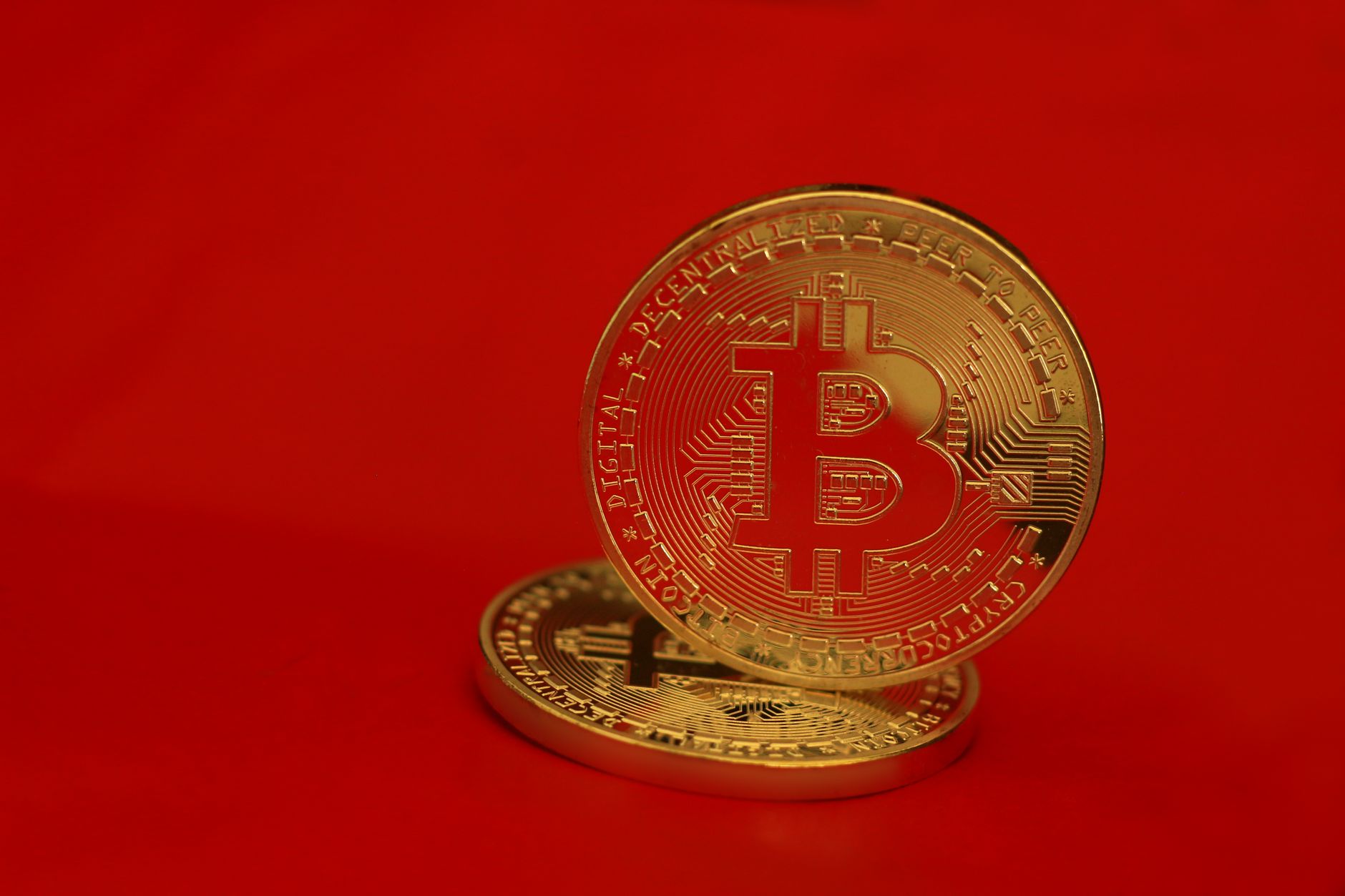 Trump crypto — Trump Crypto Sparks: 2026 Earnings