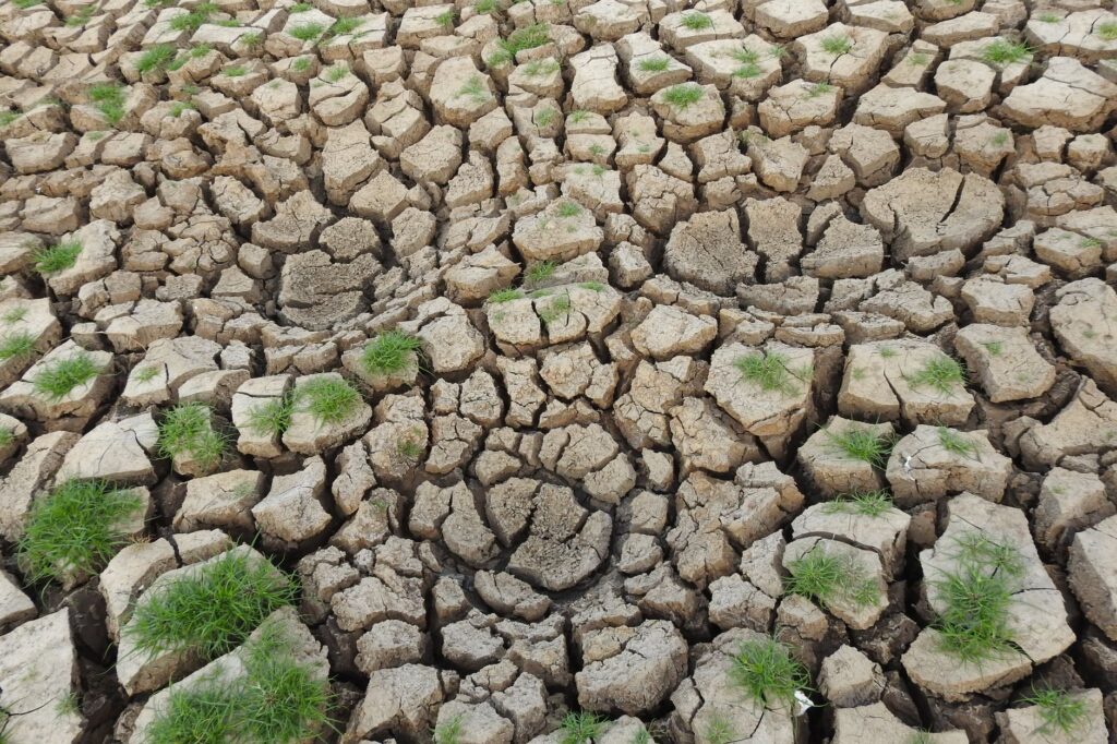 Climate change — Climate Change 2026: Breaks Records