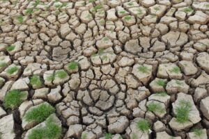 Climate change — Climate Change 2026: Breaks Records