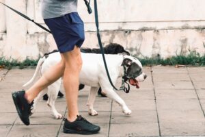 Daily walking — Daily Walking Boosts: 30 Minutes