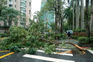 Typhoon bavi — Typhoon Bavi Hits: 2024