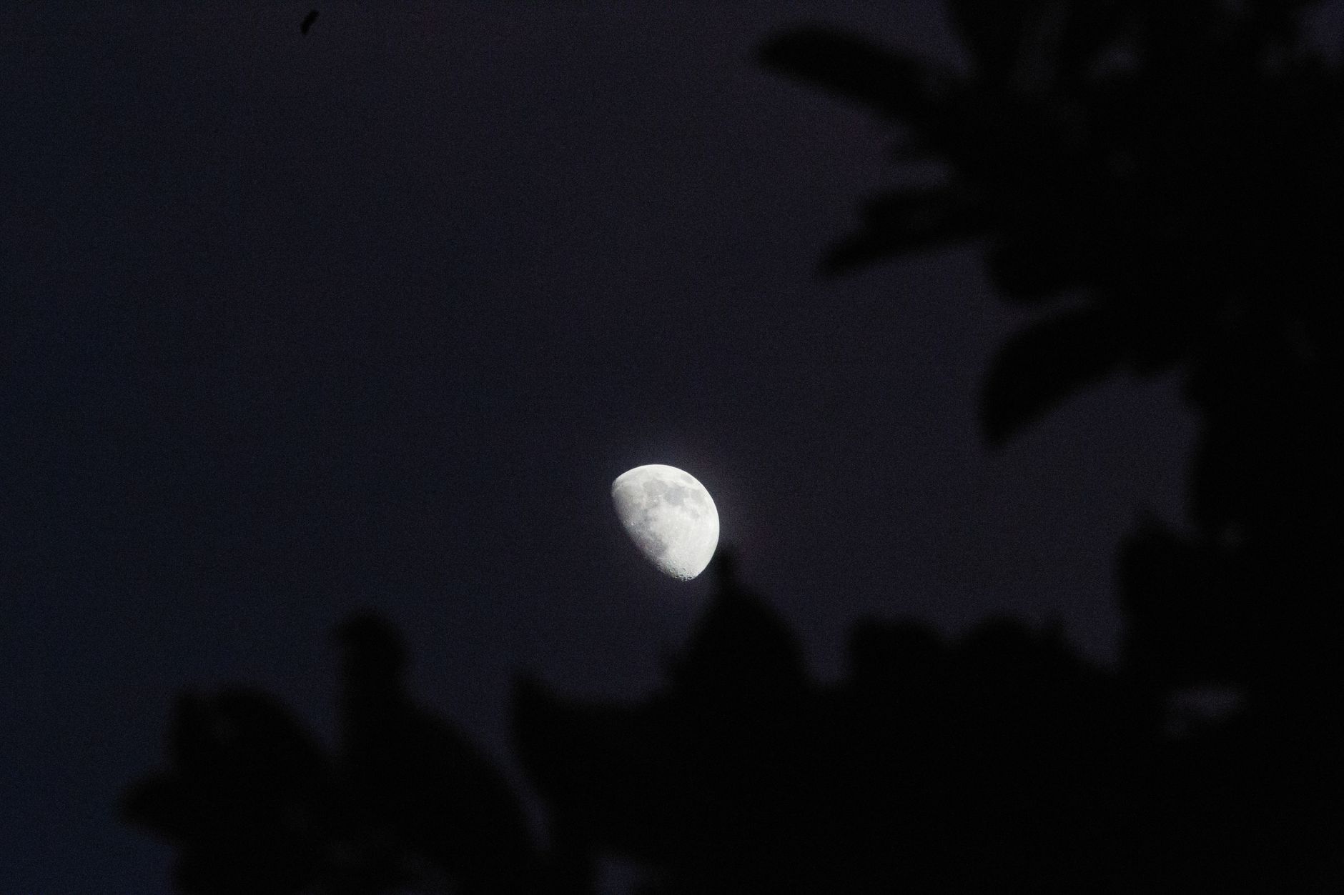 Waxing gibbous moon — Waxing Gibbous Moon Reveals 2026