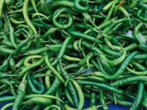 Chili peppers — Chili Peppers 2026 Reveals