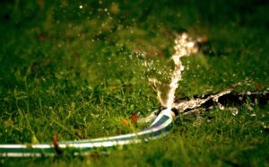 Hosepipe ban — Hosepipe Ban Hits 8m: Reveals Water Crisis