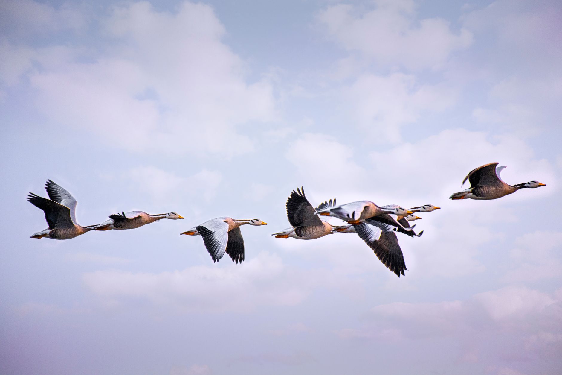 Vmware migration — VMware Migration Hits 11,000: Sheetz Reveals 4-Month Plan