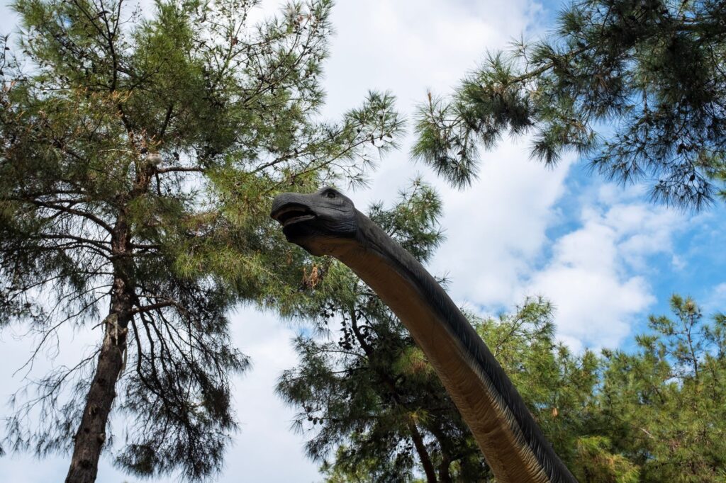 Sauropod giants — Sauropod Giants Breaks 3 Key