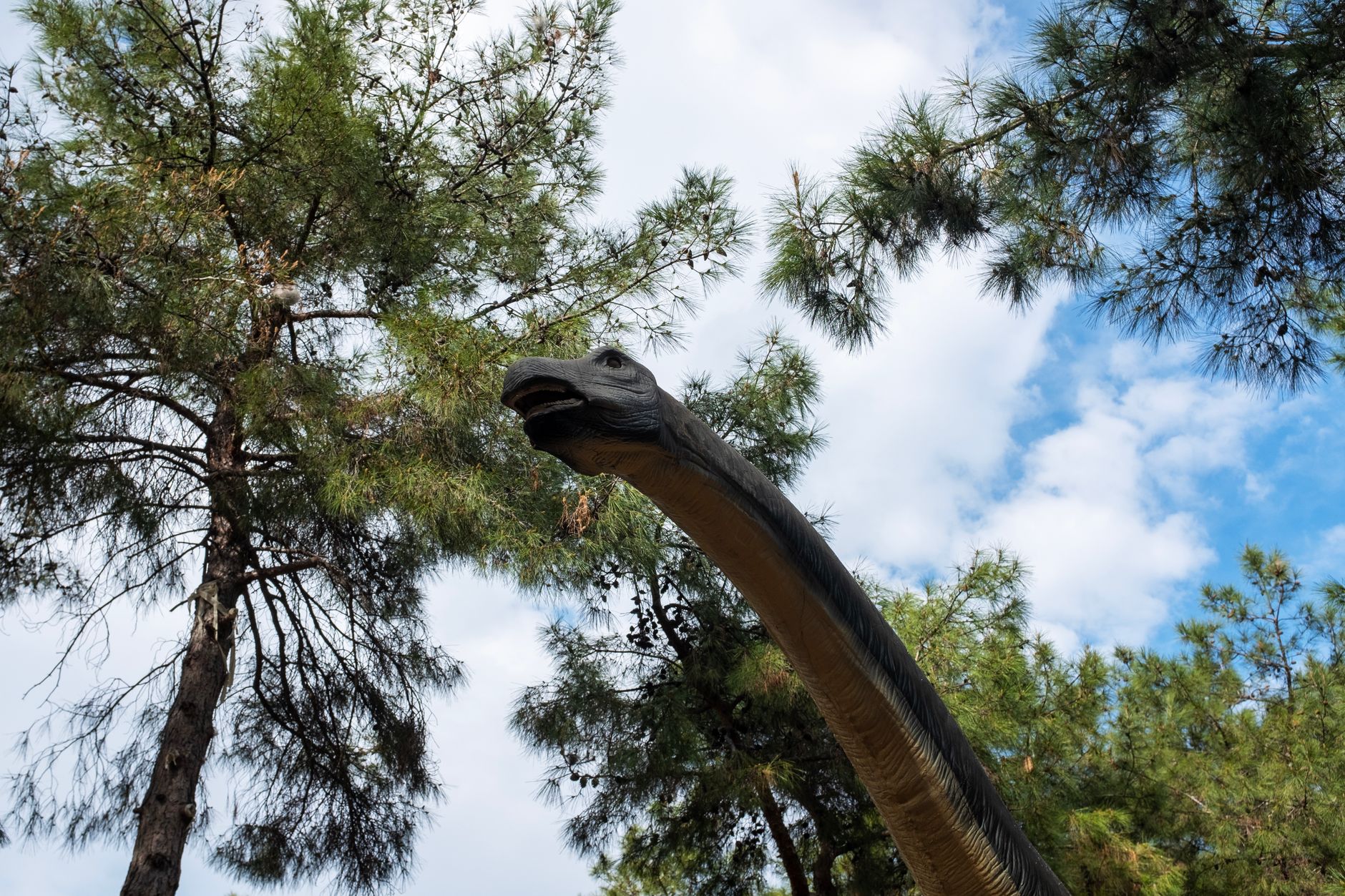 Sauropod giants — Sauropod Giants Breaks 3 Key