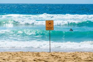 Ocean deoxygenation — Ocean Deoxygenation Warns: 2026