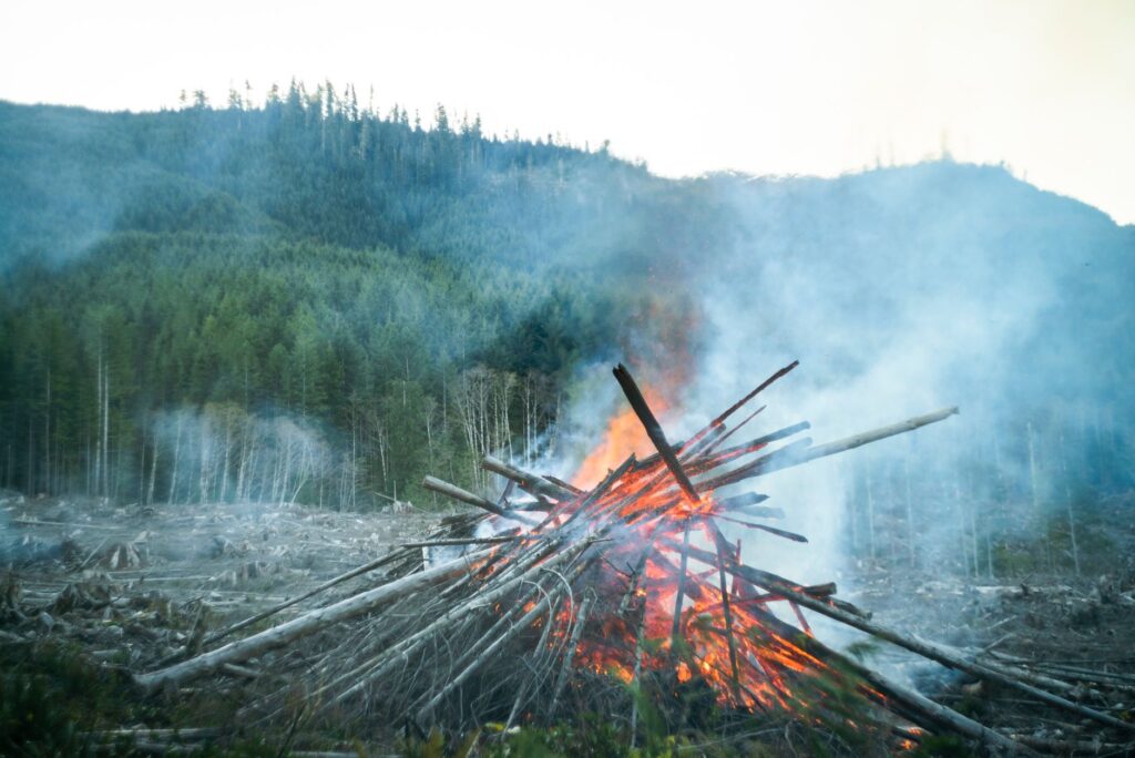 Canadian wildfires — Canadian Wildfires Warns 2024: Toxic Air