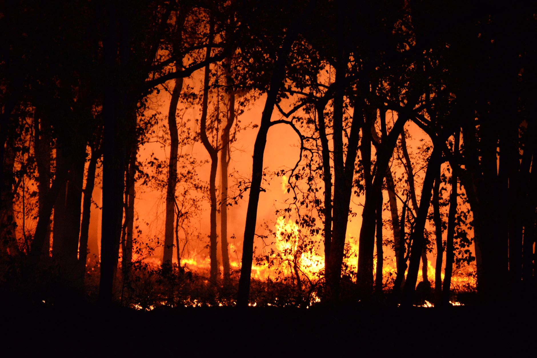 Triassic wildfires — Triassic Wildfires Reveals 2026: Inferno