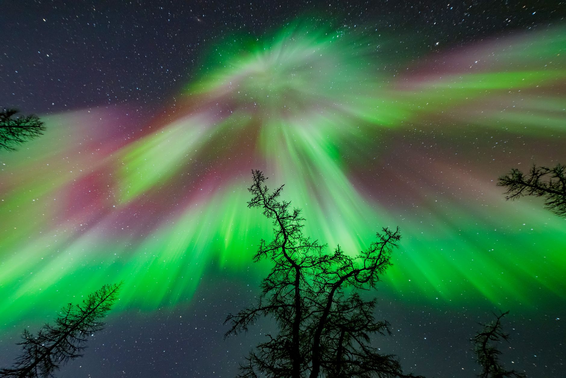 Mars auroras — Mars Auroras 2025: NASA Reveals New Insights
