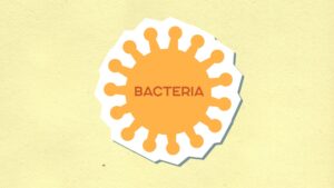 Uti bacteria — UTI Bacteria Breaks: 2 Years Later