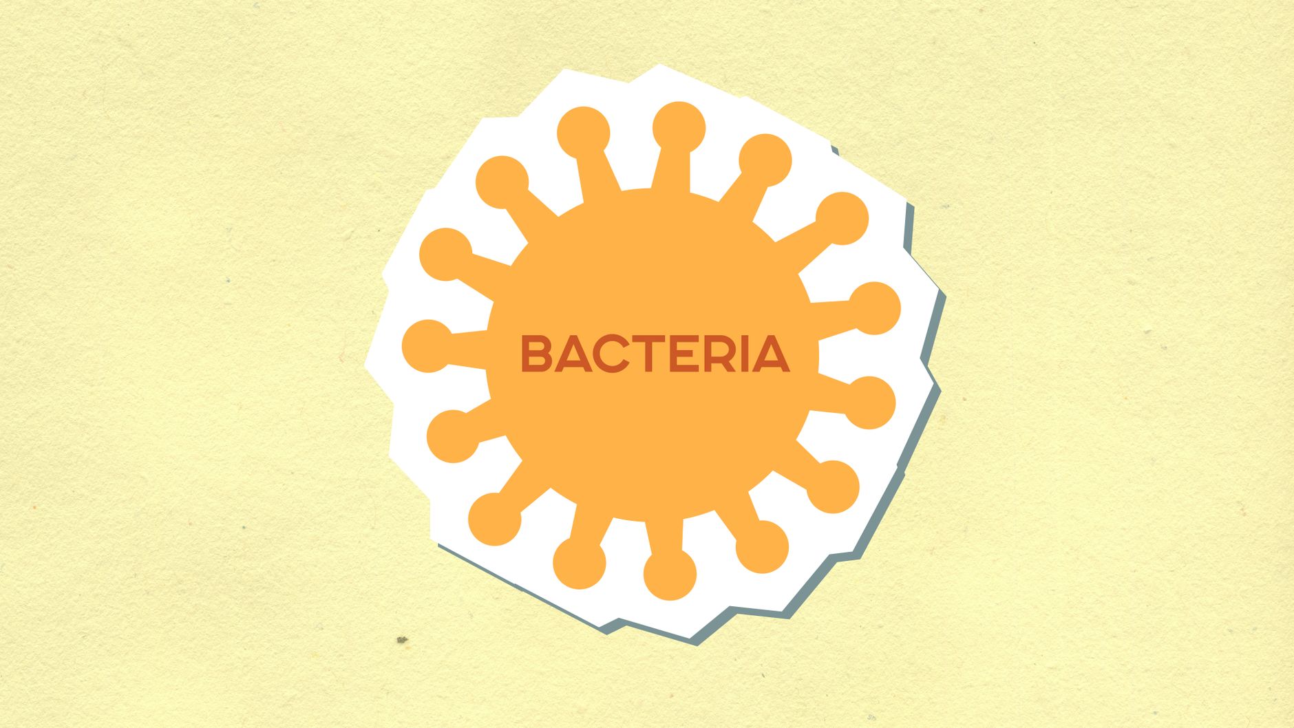 Uti bacteria — UTI Bacteria Breaks: 2 Years Later