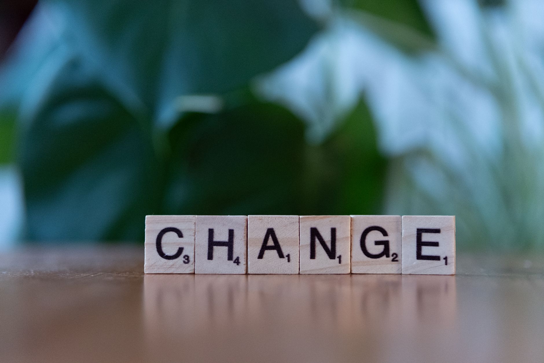 Social care reform — Social Care Reform Warns 2024: Collapse Looms