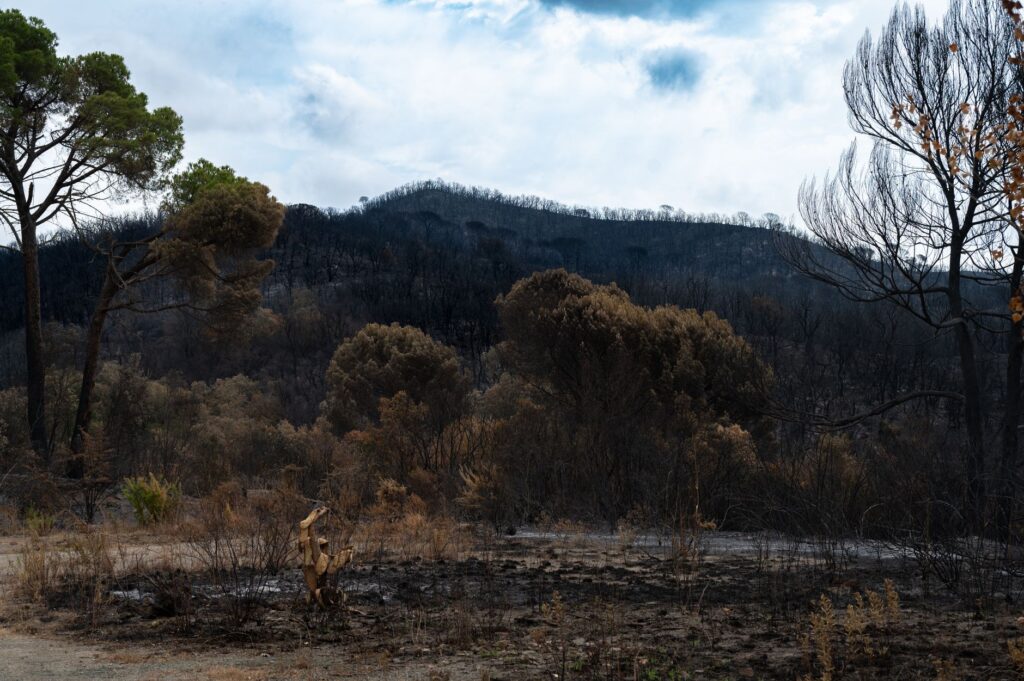 Wildfire bordeaux — Wildfire Bordeaux Warns: 9 Miles Away