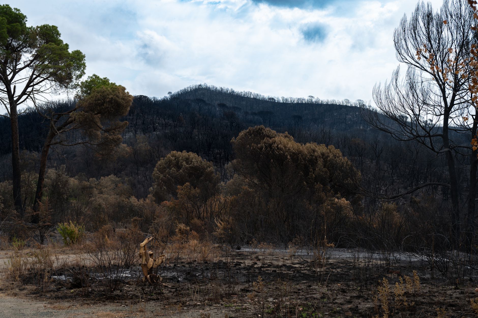 France wildfires — France Wildfires Hits 3: Breaks Out