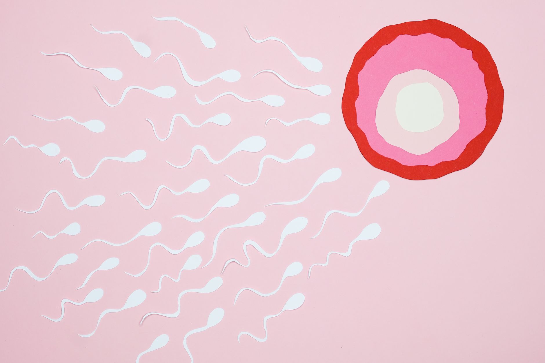 Fertility treatment — Fertility Treatment Breaks: 10 Years