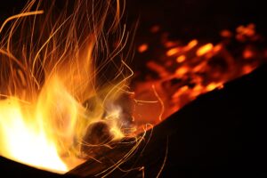 Rare habitat blaze — Rare Habitat Blaze Sparks 2024 Warning