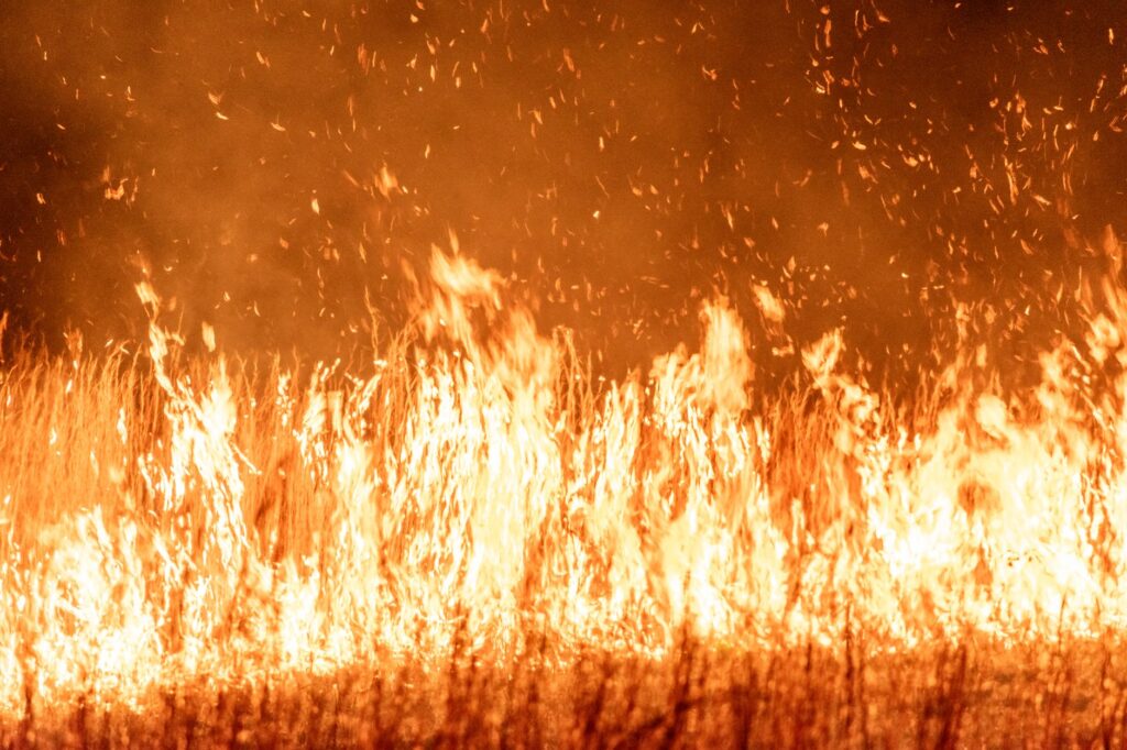 Wildfire prediction — Wildfire Prediction Sparks 5 Alarm