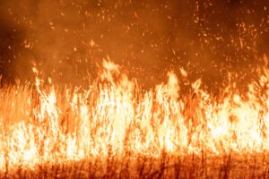 Wildfire prediction — Wildfire Prediction Sparks 5 Alarm