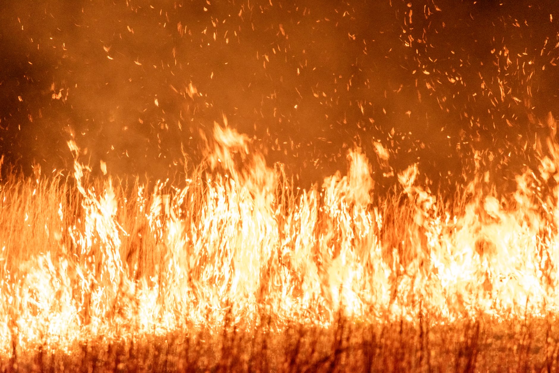 Wildfire prediction — Wildfire Prediction Sparks 5 Alarm