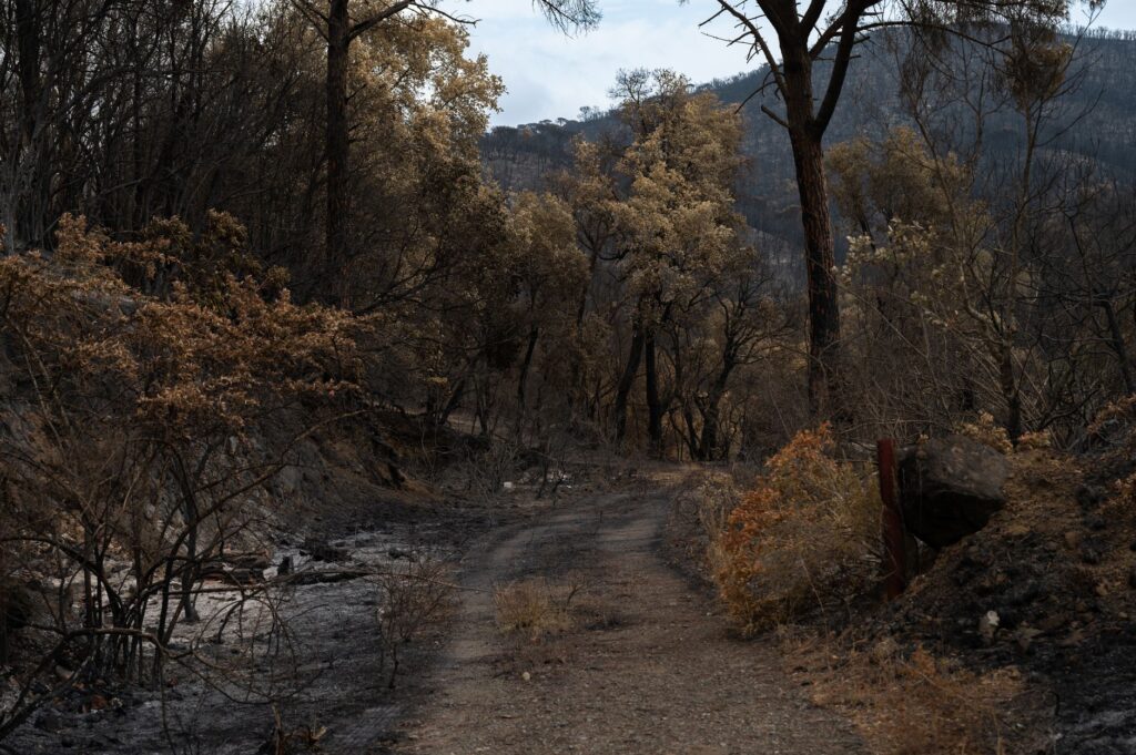 Wildfire tracking — Wildfire Tracking Breaks: 2026