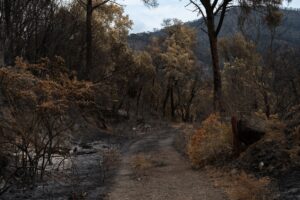 Wildfire tracking — Wildfire Tracking Breaks: 2026