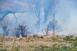 Wildfire fighting — Wildfire Fighting 2024: Breaks New Ground