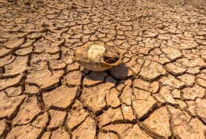 Heat extremes — Heat Extremes Reveals 2026: 3 Key Impacts