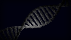 Genetic heart risk — Genetic Heart Risk Reveals 1 in 5