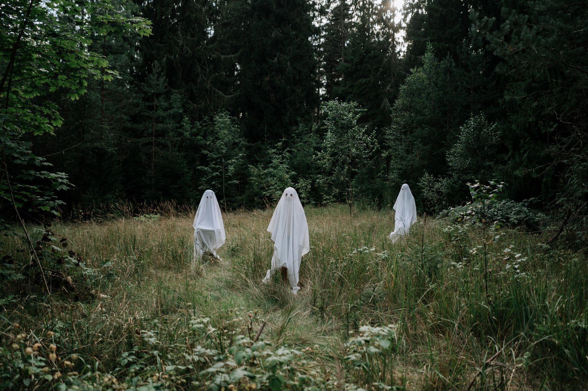Ghost lineage — Ghost Lineage Breaks: 2026 Reveals