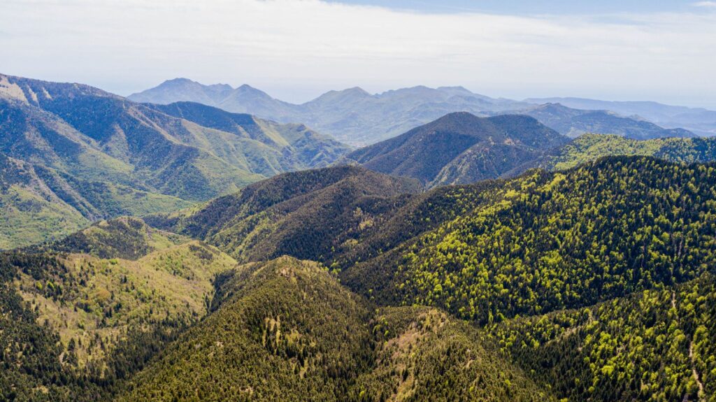 Elevated oxygen environments — Elevated Oxygen Environments Breaks: 3 Key Findings