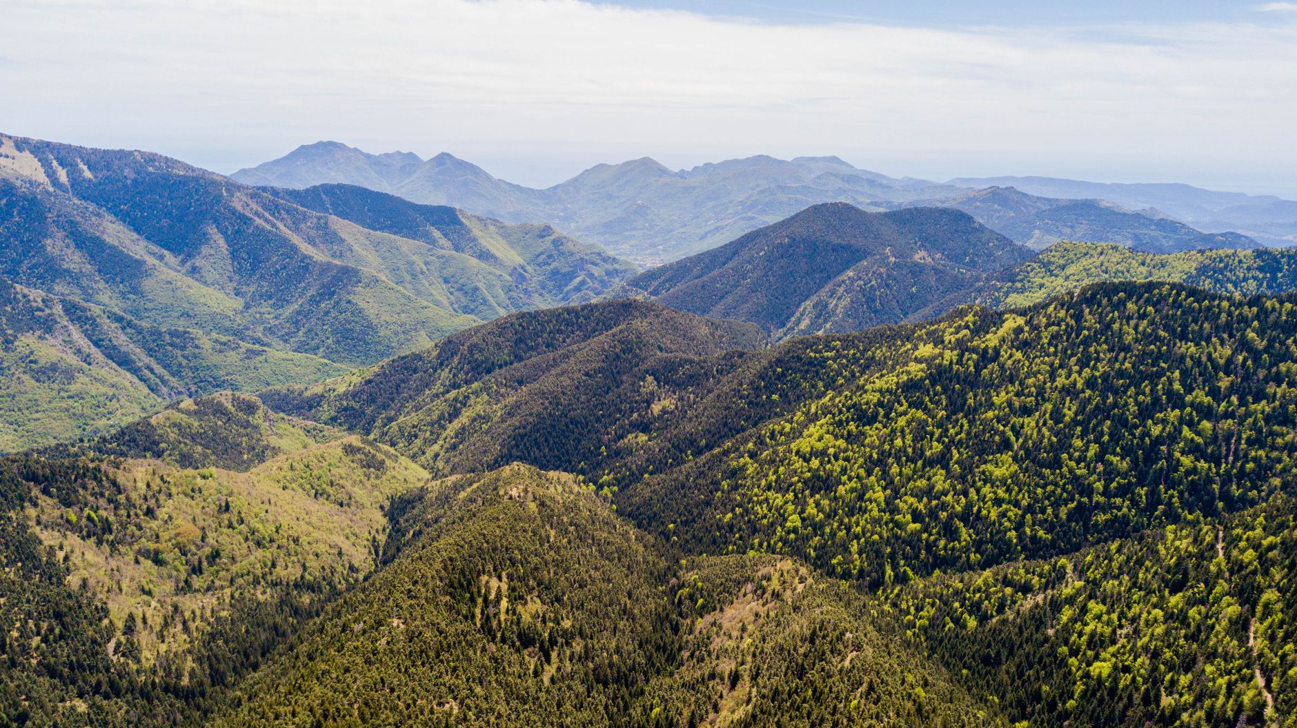 Elevated oxygen environments — Elevated Oxygen Environments Breaks: 3 Key Findings