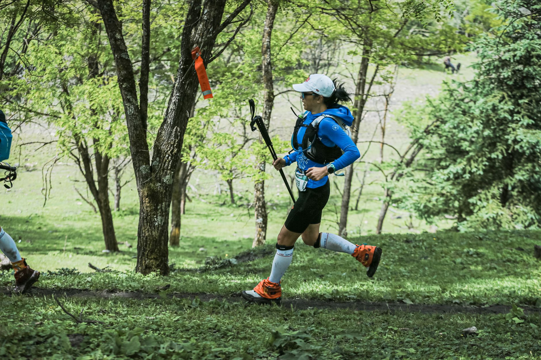 Alps runner — Alps Runner Breaks: 8 Countries