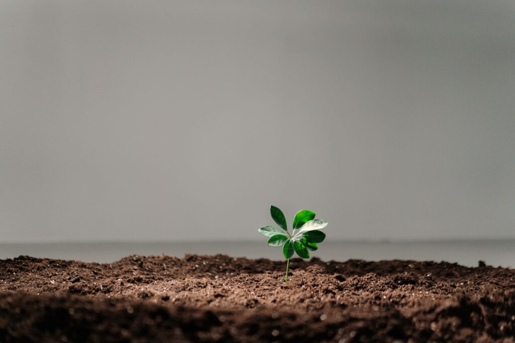 Science stories — Science Stories Reveals 6: Breaks New Ground