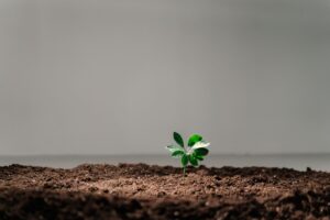 Science stories — Science Stories Reveals 6: Breaks New Ground