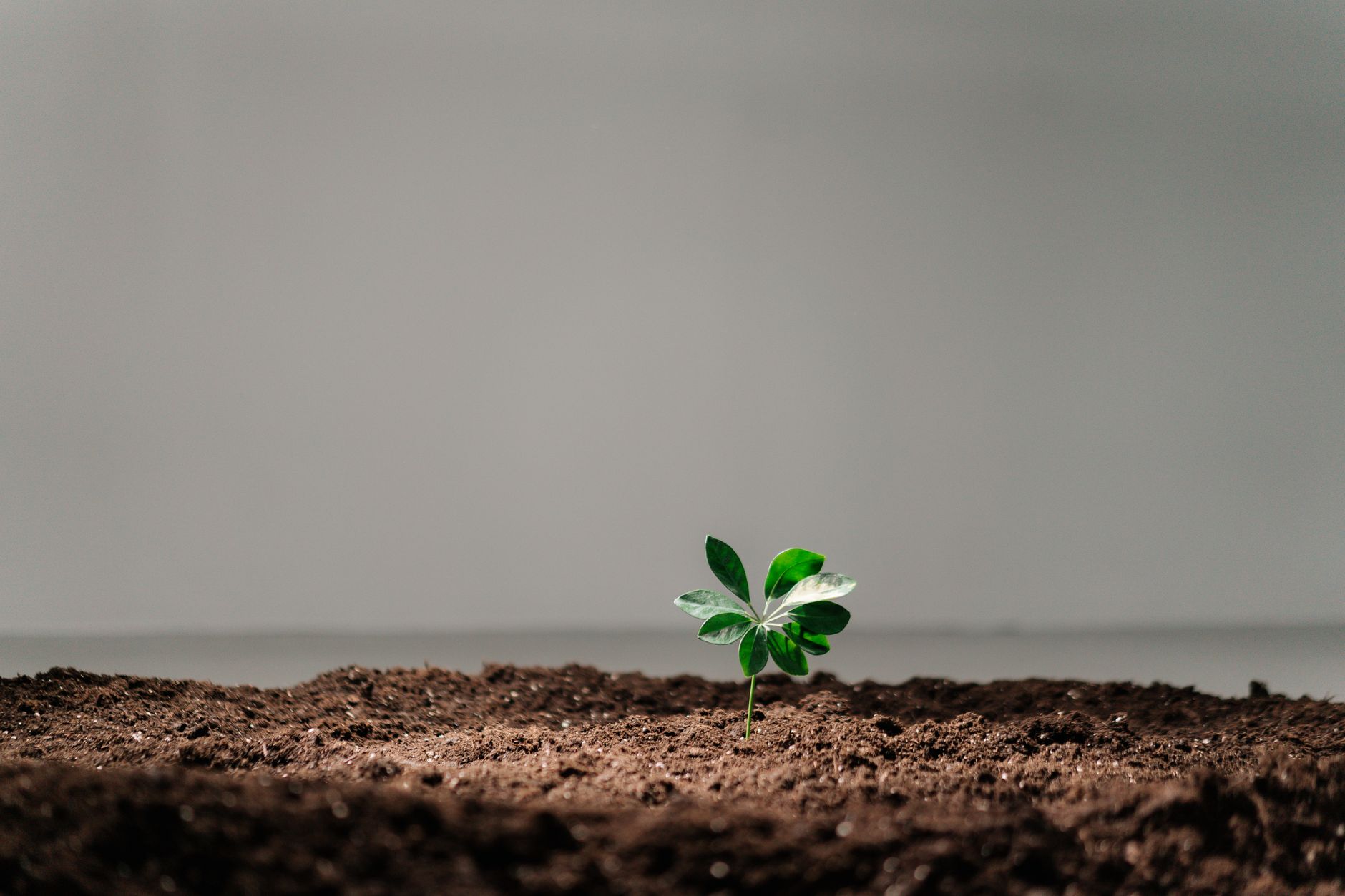 Science stories — Science Stories Reveals 6: Breaks New Ground